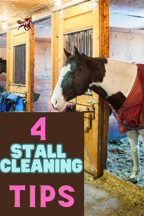 Need advise Cleaning horse stalls 